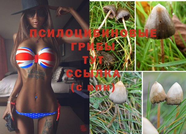 МДМА Магас
