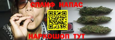 МДПВ Канаш