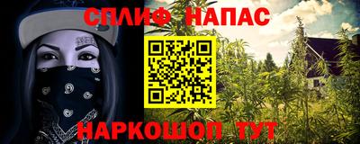 МДПВ Канаш