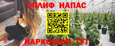 МДПВ Канаш