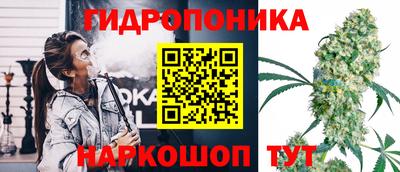 МДПВ Канаш