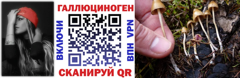 KRAKEN вход  Чебаркуль  Псилоцибиновые грибы Psilocybe 